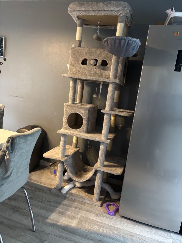 Very tall cat scratching post 