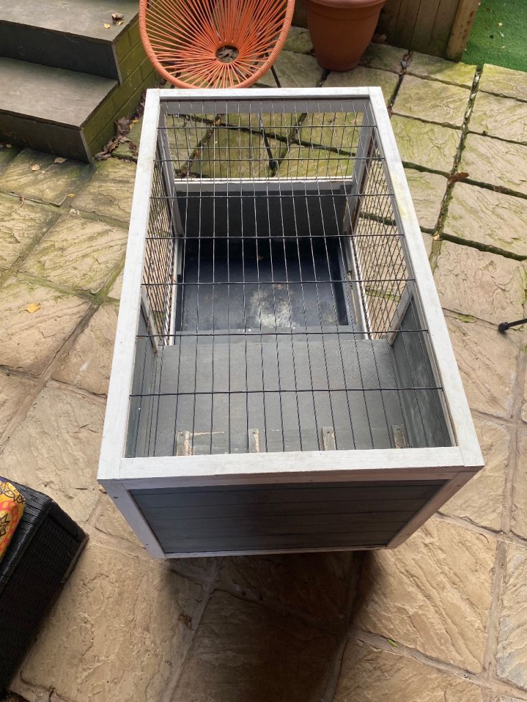 Indoor hutch free 