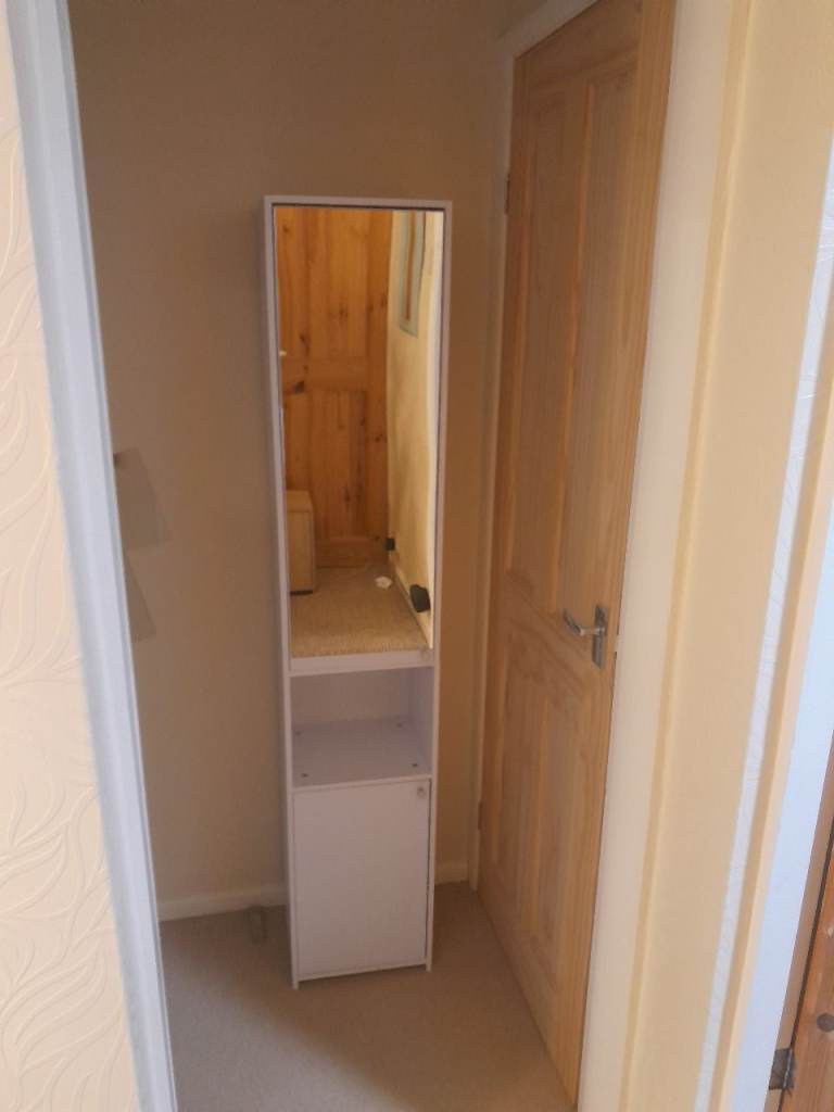 Mirrored tall bathroom cabinet