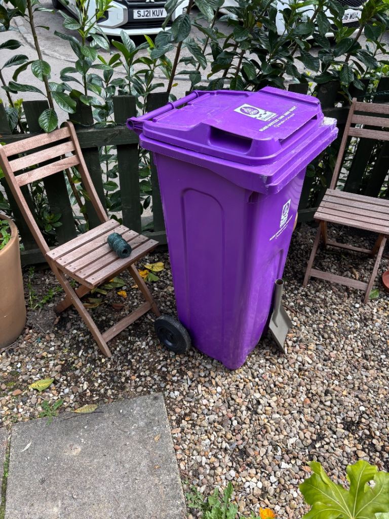 Free Purple Bin for Free