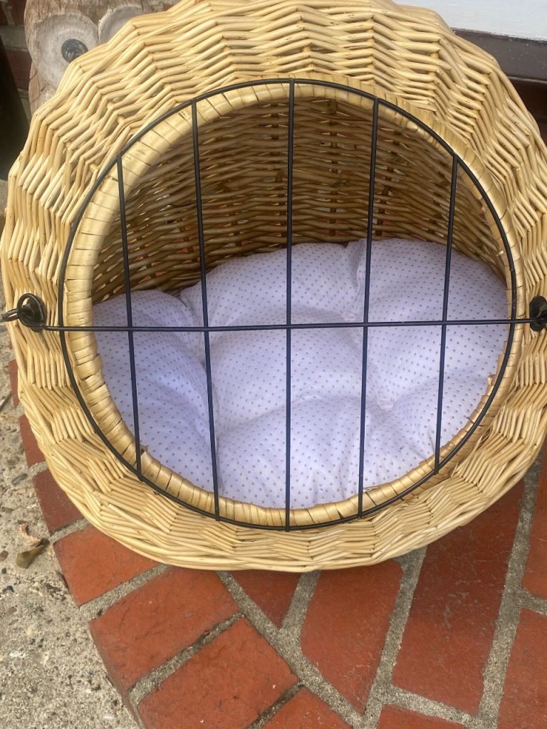 Wicker cat carrier 