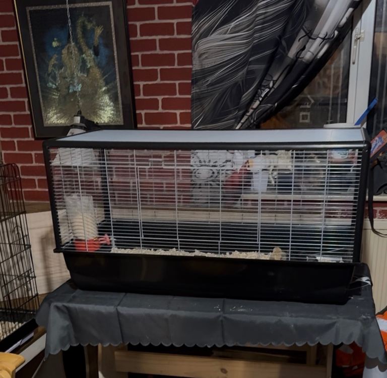 XL cage
