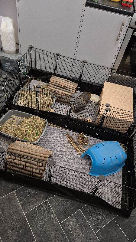 2 x 4x2ft indoor Guinea Pig c&c style cages