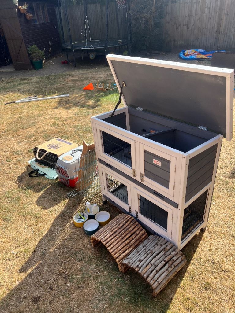 Guinea Pig Starter Set | Hutch, Outdoor Run, Accessories