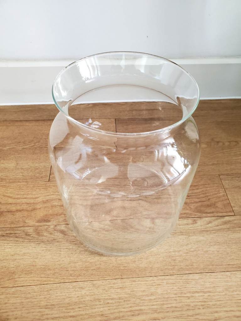 Big Clear Glass Flower Vase