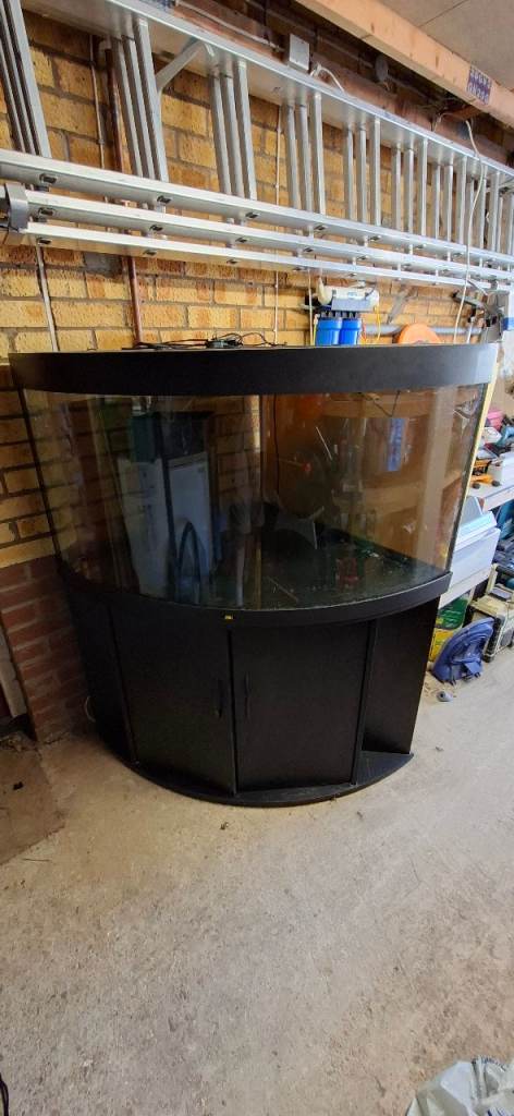 Juwel Trigon 350 Corner Aquarium with Cabinet – Black