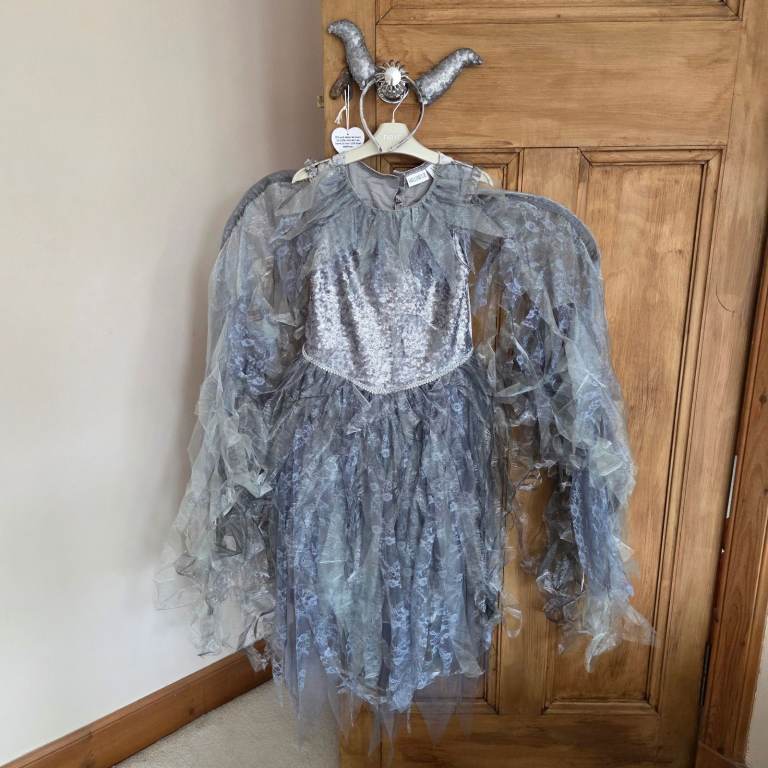 Fancy dress outfit