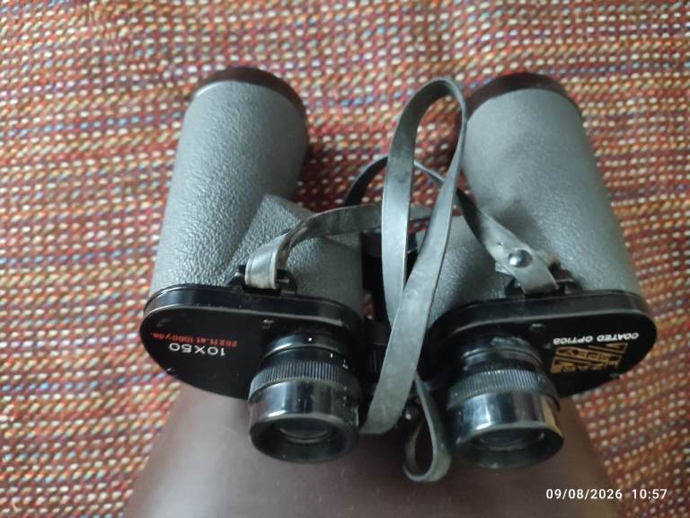 Lizars binoculars 10 x 50 with case.