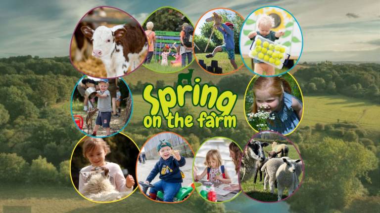 SPRING ON THE FARM
