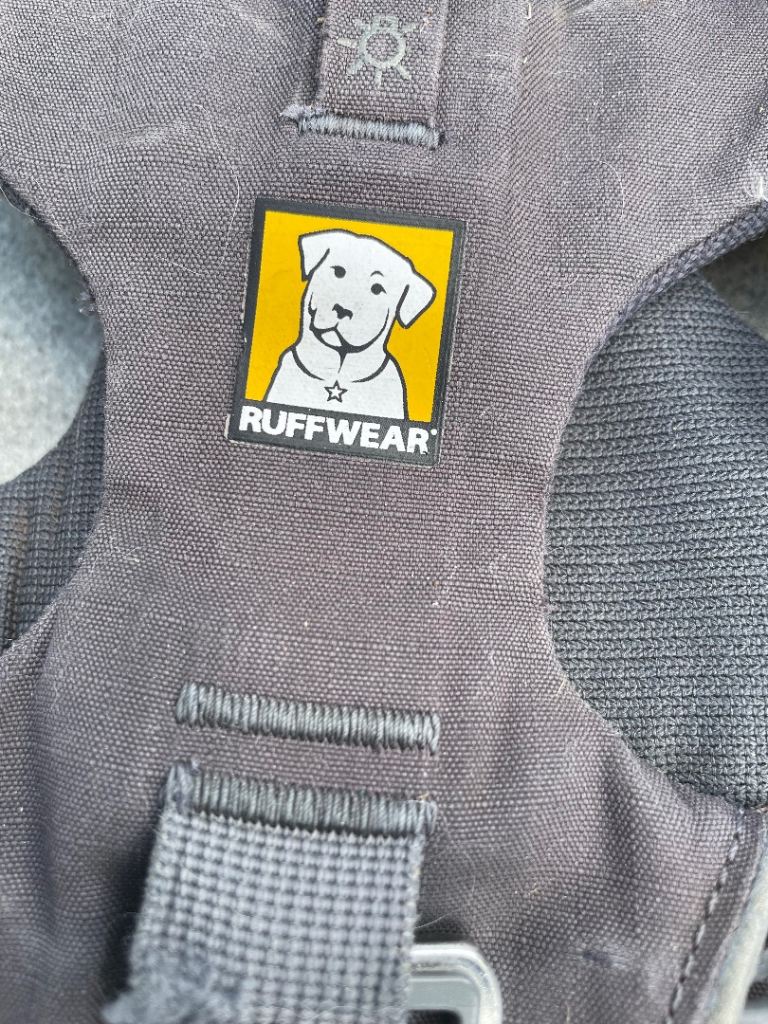 All dog items in photo