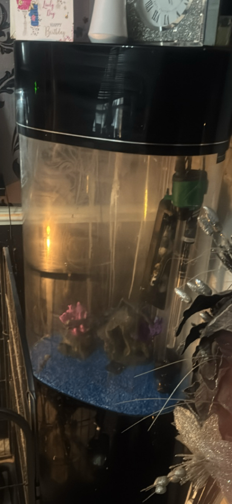 image for Round fish tank