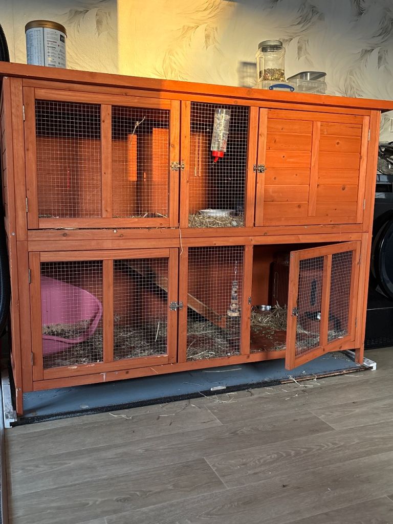 Rabbit hutch 