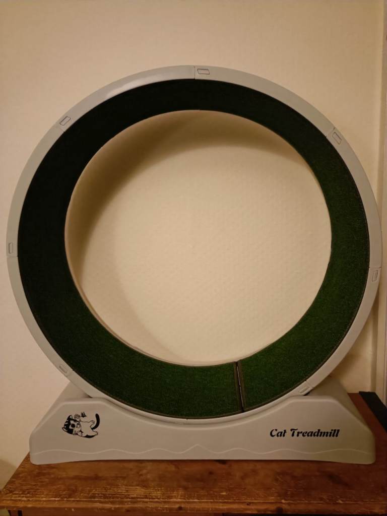 Cat exercise running wheel 