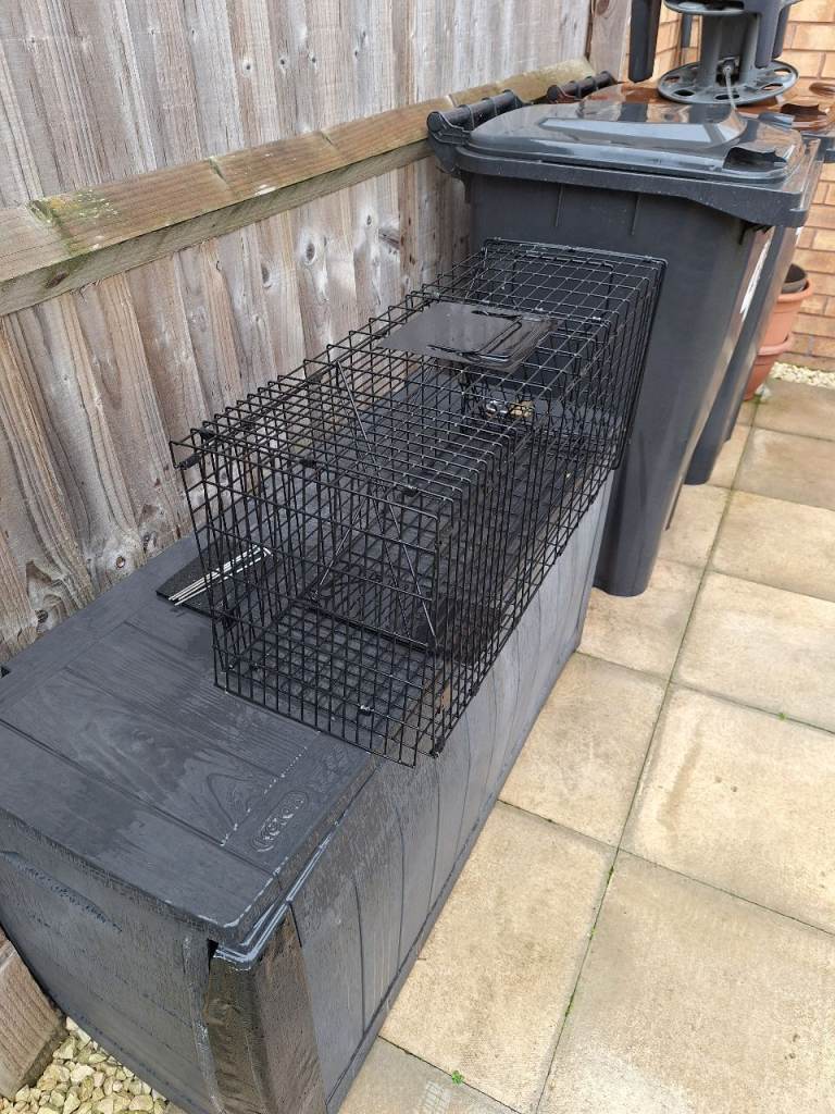 Live animal cage