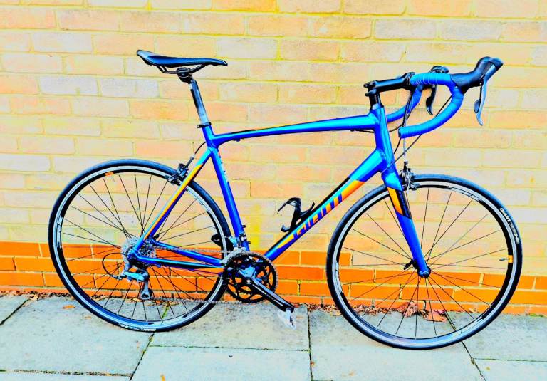 GIANT CONTEND SL 3 ALLOY CARBON FIBRE ROAD BIKE 57CM"22.5 