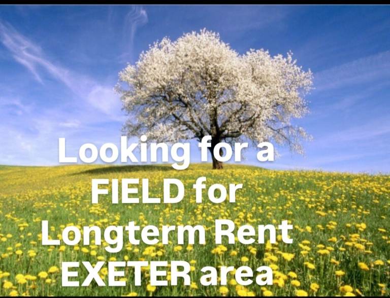 Looking for a Field to rent