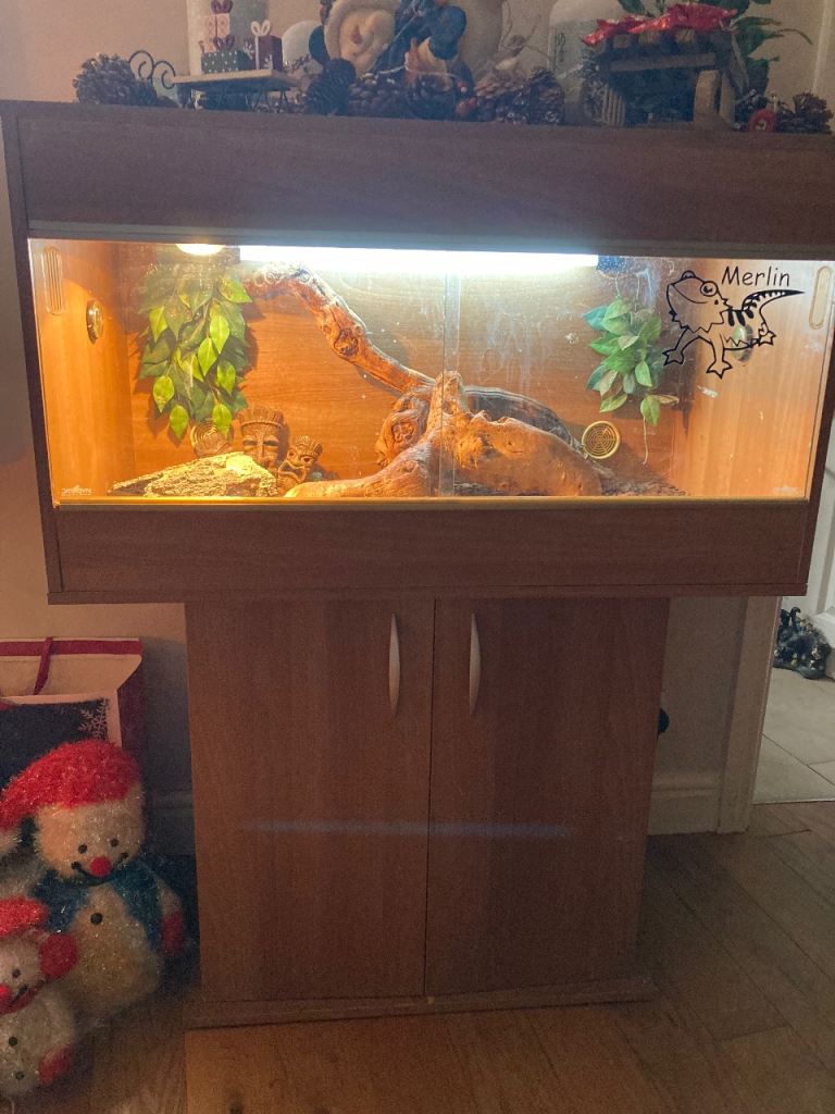 3ft vivarium