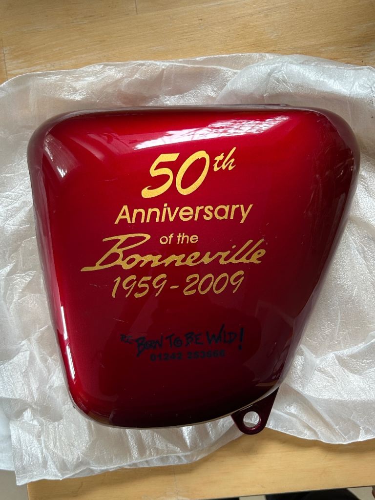 Triumph Bonneville T100 side panel