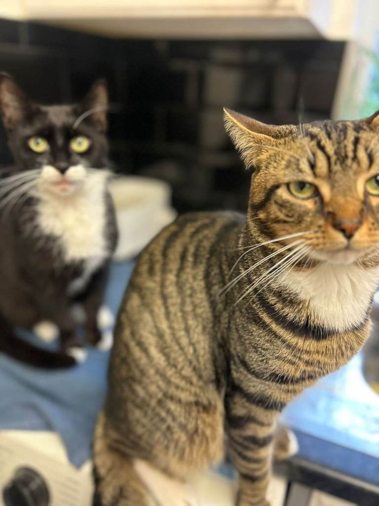 ***PLEASE READ DESCRIPTION ***