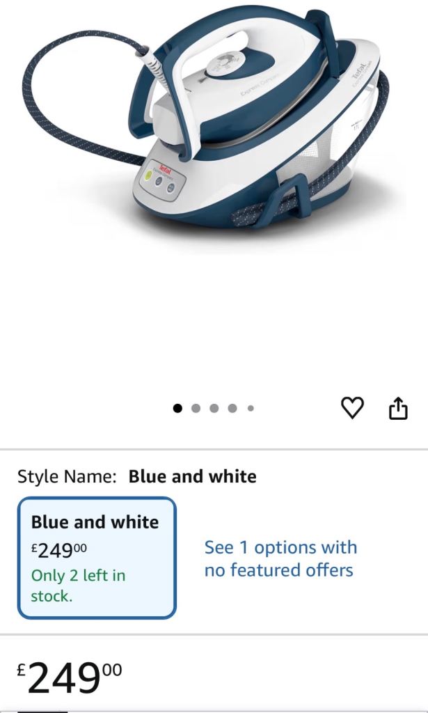 Teal express compact steam generator iron 