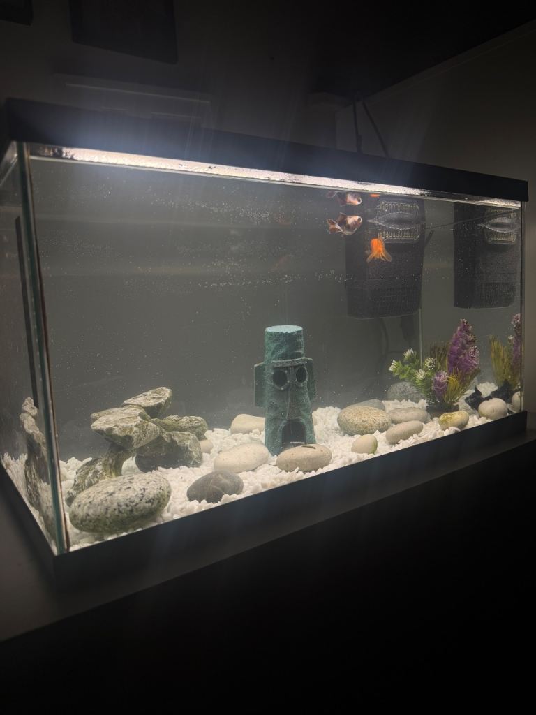 Fish tank