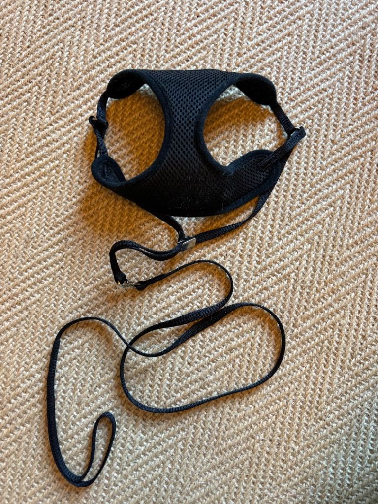 Cat or small dog harness 
