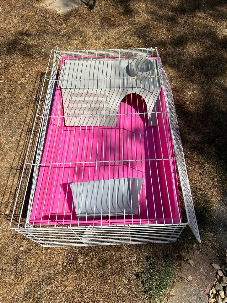 Pink Guinea Pig hutch