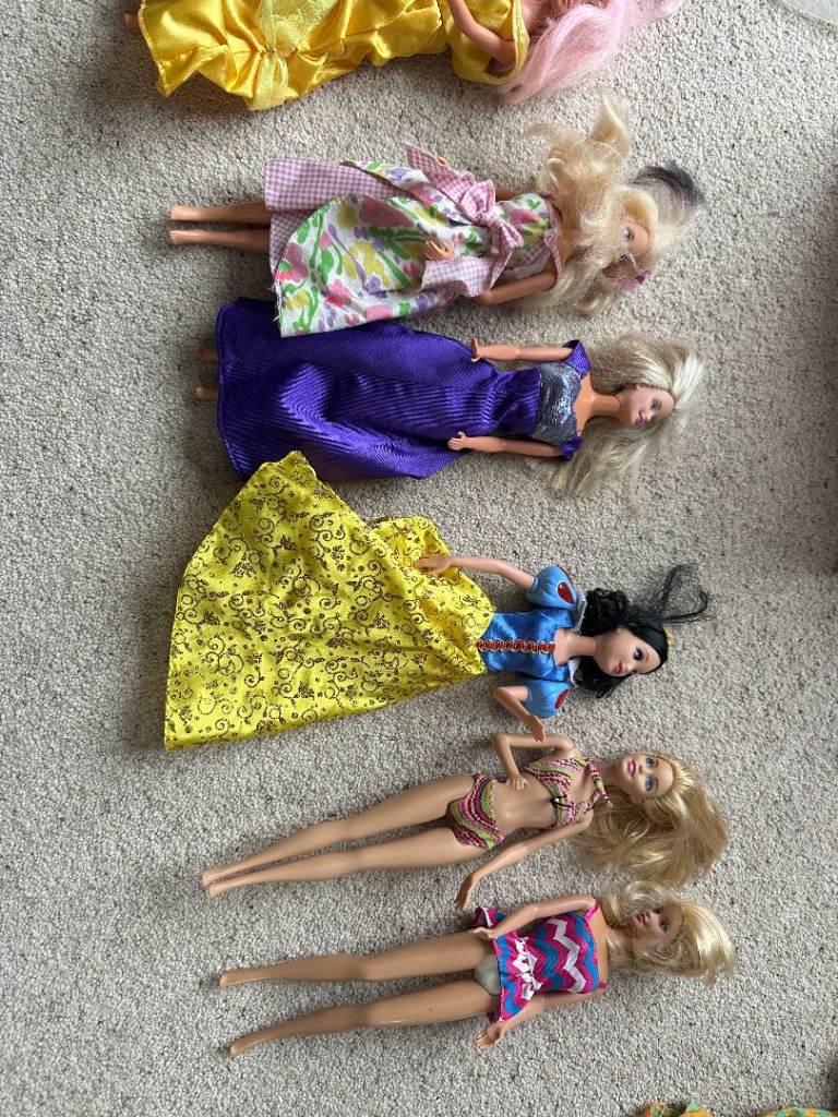 Barbie Dolls and accessories plus horses