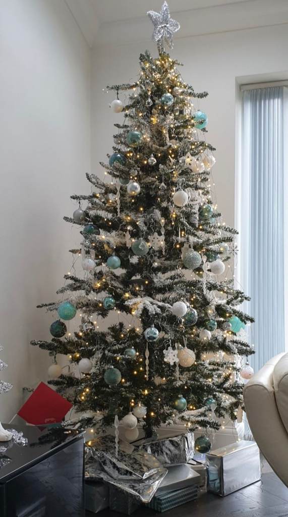 Snow-covered Christmas Tree