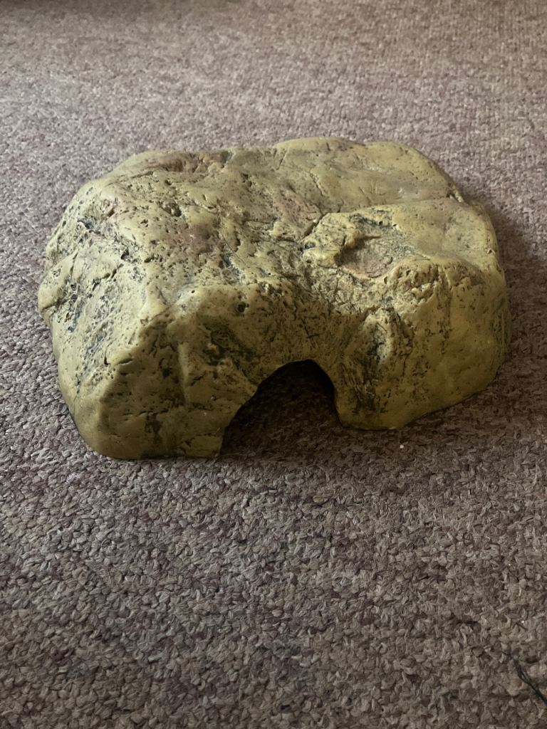 Snake hide