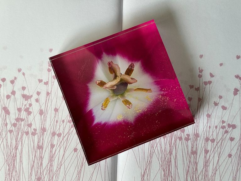 Flower & Seaside Ornament Mother's Day Gifts