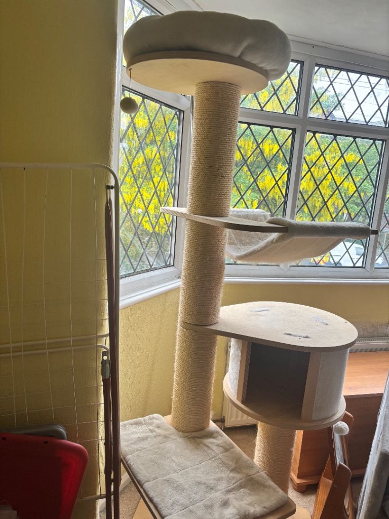 Cat climbers