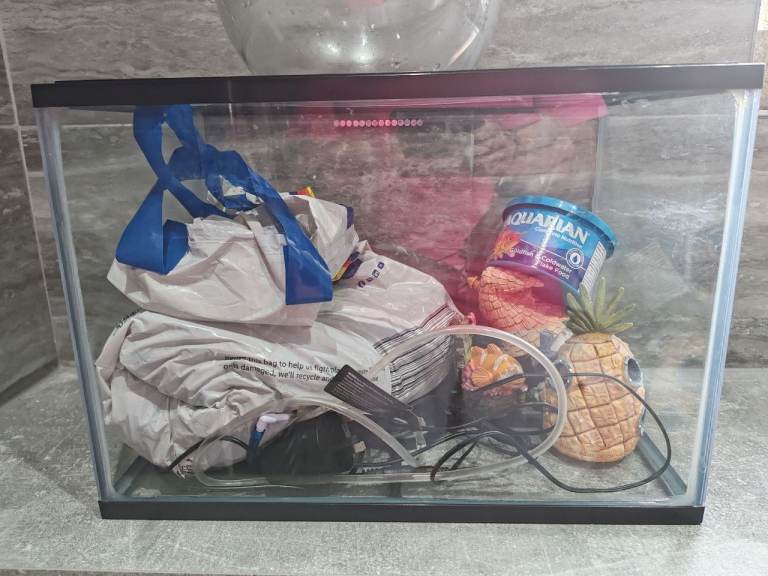 24ltr Fish Tank with Gravel, Filter, Lights & Accessories