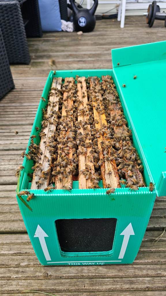 Spring 2026 National Nucs