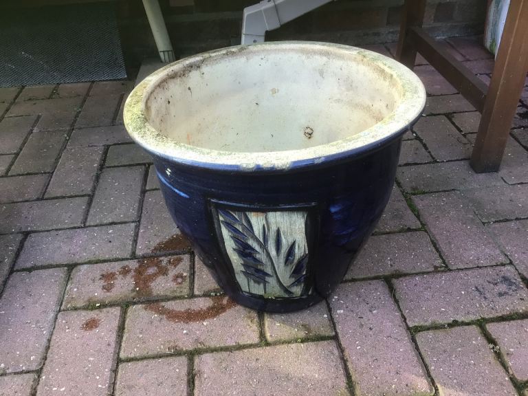 Large Glazed Garden Plant Pot.