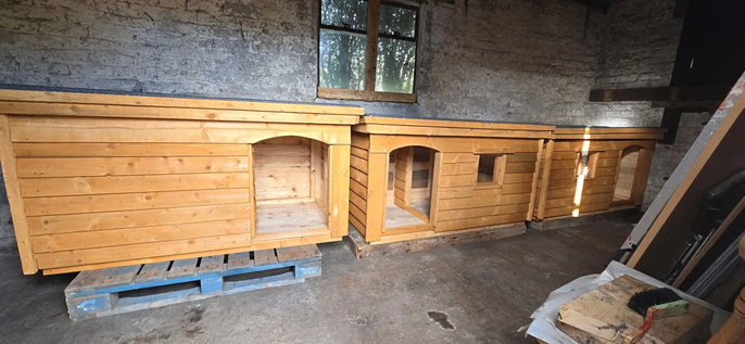 Brand New Large dog kennels without window 