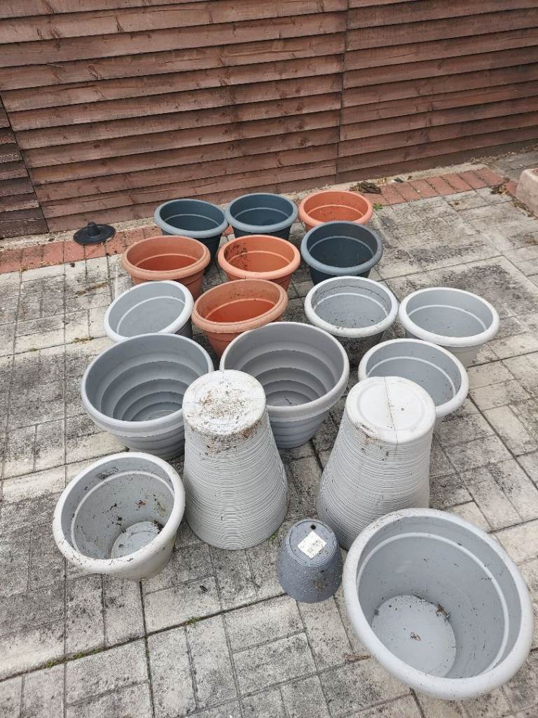 Job Lot of Plastic Garden Pots and Planters