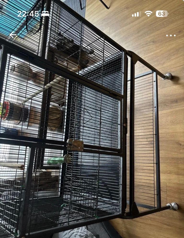 Parrot bird cage 