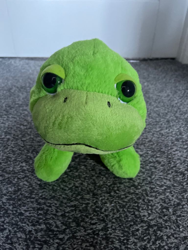 Turtle toy