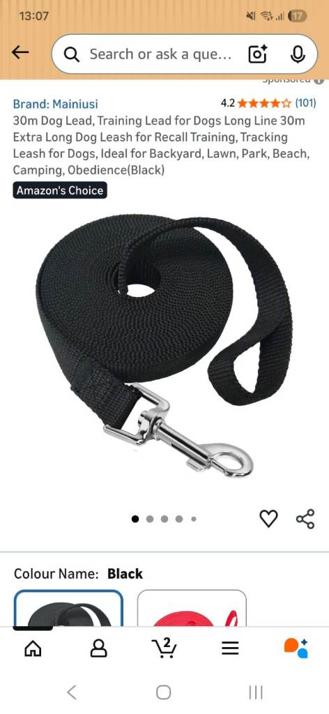 30M dog training lead