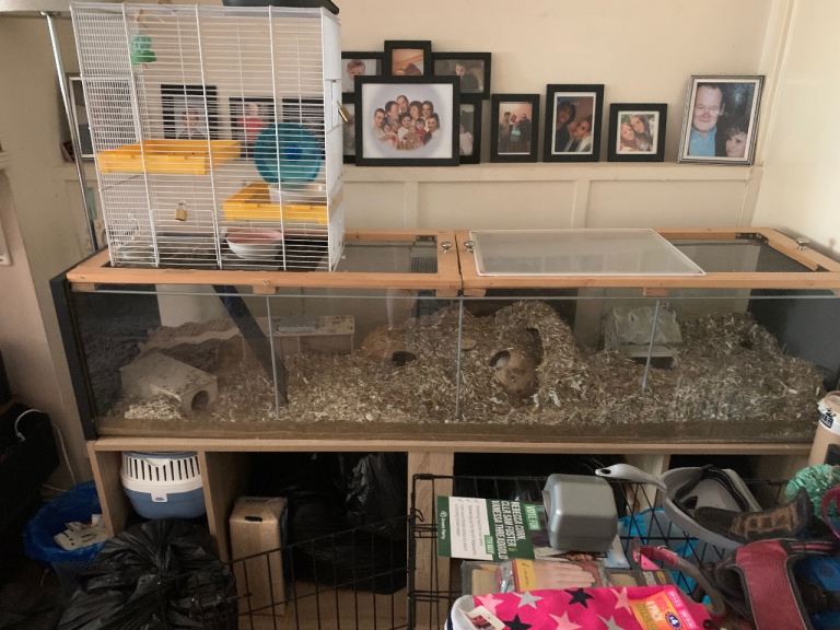 5ft ikea detolf rodent inclosure 