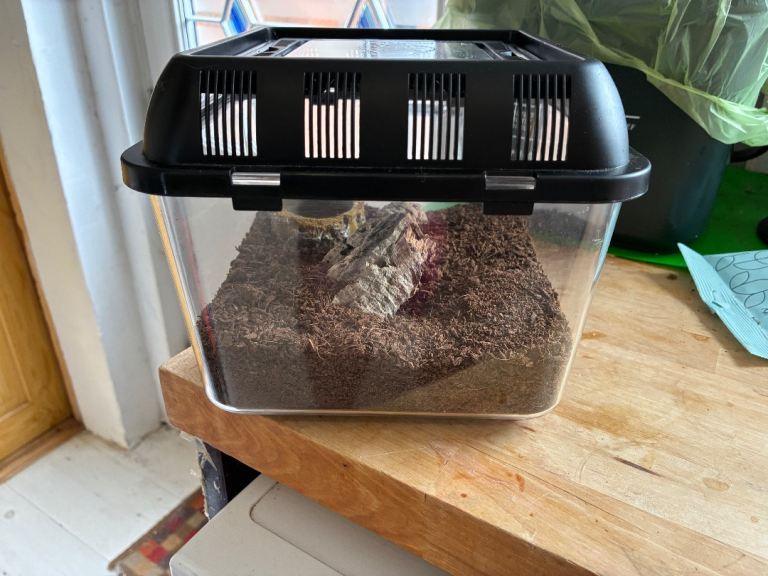 Spider Enclosure 