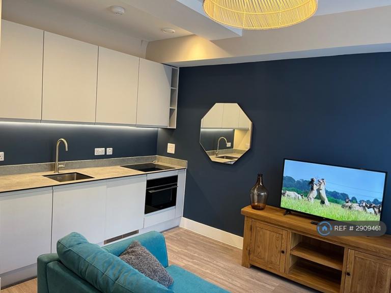 1 bedroom flat in Alliance House, Bristol, BS1 (1 bed) (#2909461)
