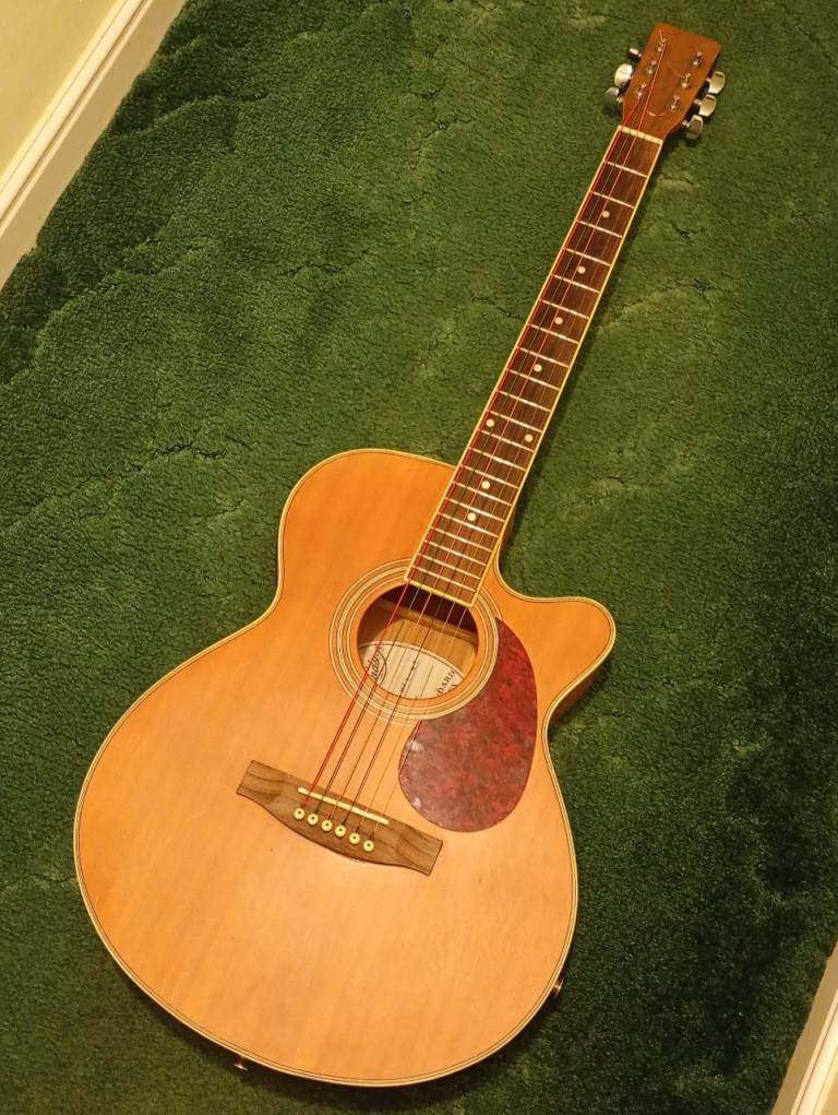 Hudson Electro Acoustic Guitar