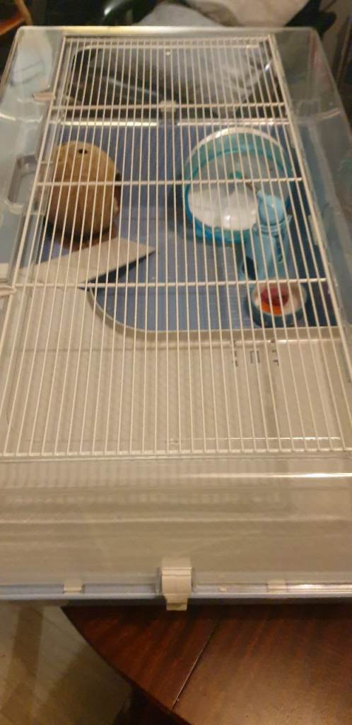 Hamster cage