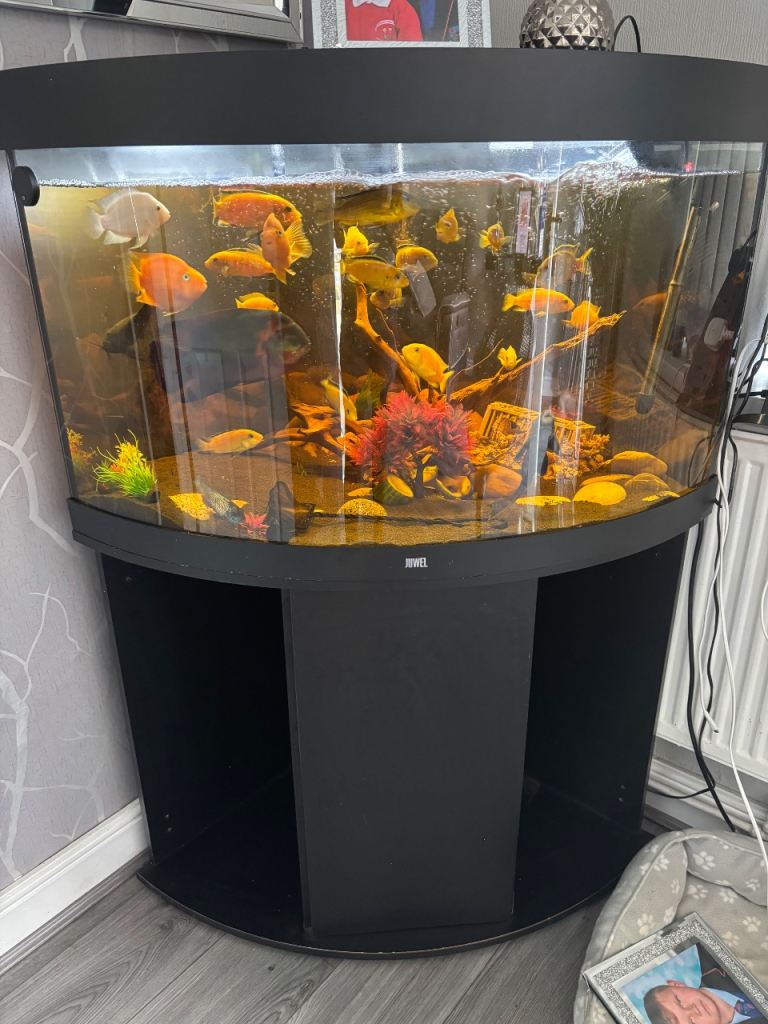 Corner fish tank