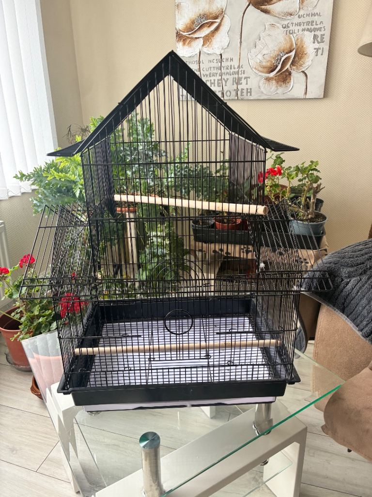 Bird cage