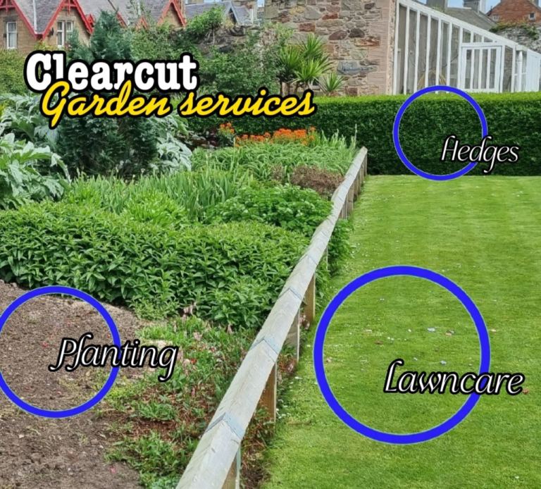 Grass Cutting / Garden Clear ups / Hedges /Weeding 