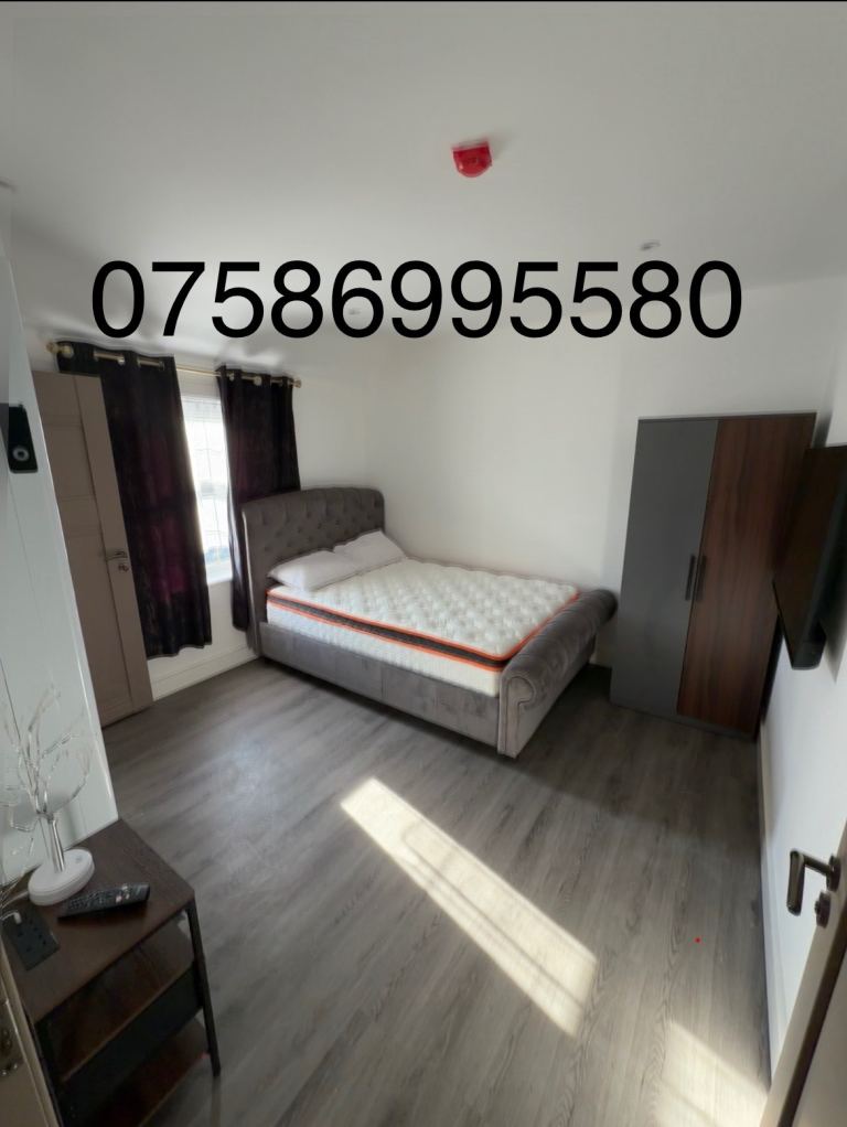 Studio flats for rent 
