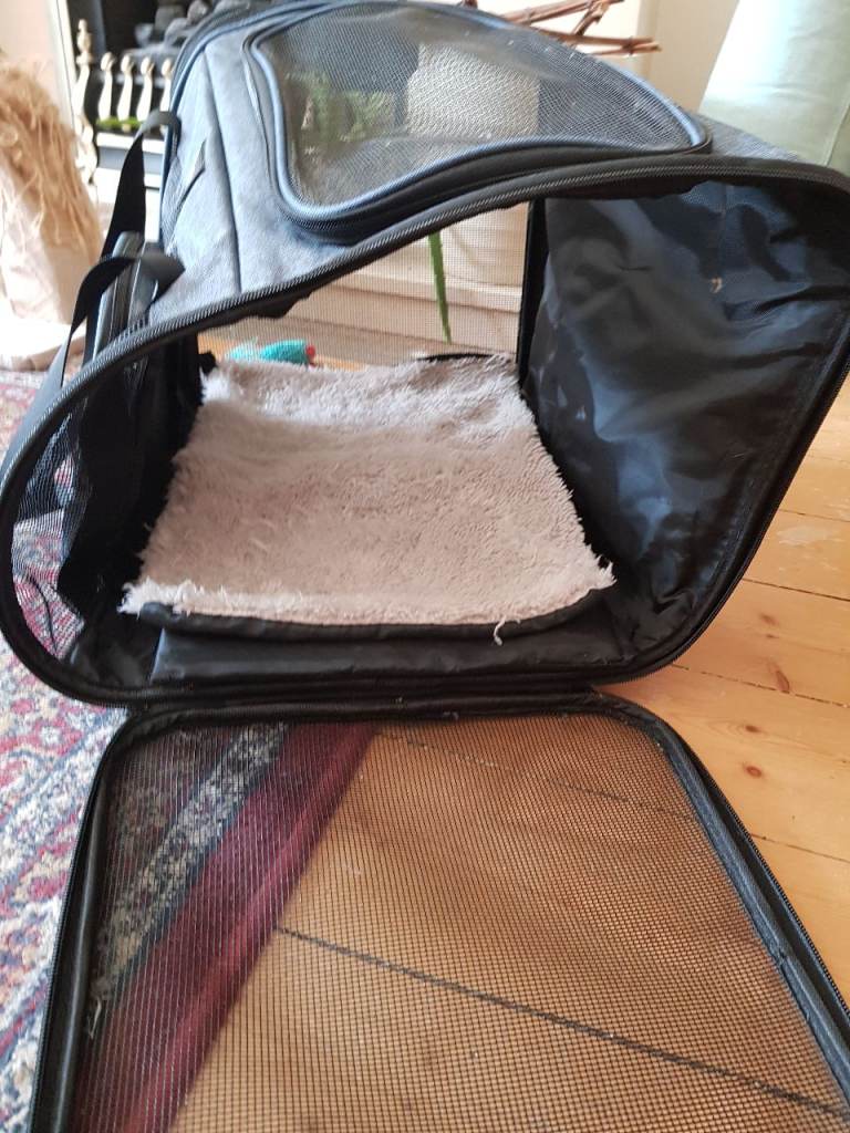Cat carrier 